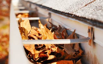 Port Sutton Bridge gutter cleaning companies