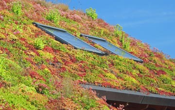 Port Sutton Bridge living roof systems