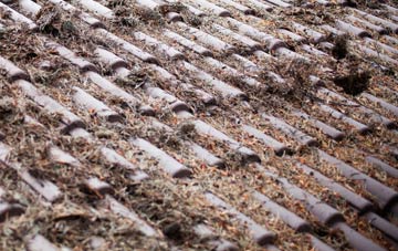 Port Sutton Bridge roof cleaning companies