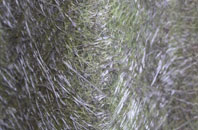 Port Sutton Bridge fibreglass roof work